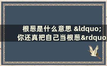 根葱是什么意思 “你还真把自己当根葱”是什么意思